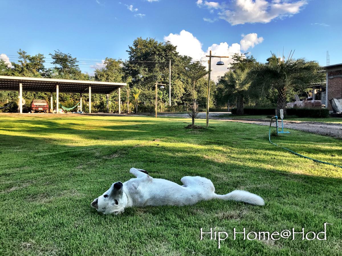 הוט Hip Home At Hod מראה חיצוני תמונה
